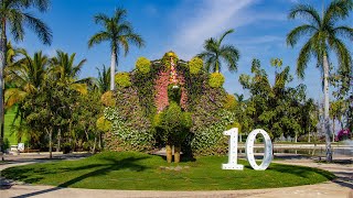 10 Aniversario Jardines de México