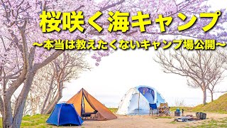 秘密にしたいキャンプ場！予約困難！淡路島　桜咲く海キャンプ！FBI AWAJI