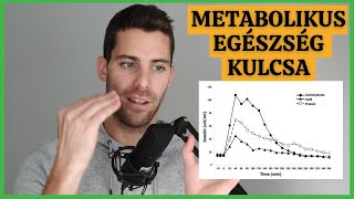 Leghasznosabb Egészség Teszt? [Inzulin Rezisztencia Megértése]