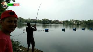 mancing ikan patin liar di sungai sangat mengasikan