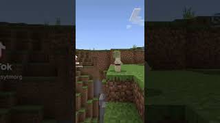 The Mandalorian goes Wrong #shorts #minecraft