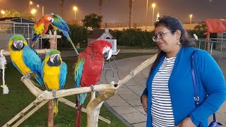 Pet Corner || Dubai || Water Front Market || Facts about Life