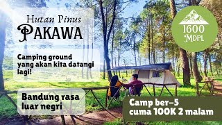 Solo camp Hutan Pinus Pakawa | Camping bandung murah | Review gak bertele-tele |