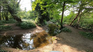 Afternoon cycle along Dollis brook. Enjoying the British spring / summer.