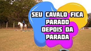 Seu cavalo fica parado depois da parada