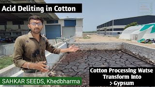 ACID DELINTING IN COTTON | Cotton Cleaning Waste Transform Into Gypsum | Sahkar Seeds Idar | Kapas .