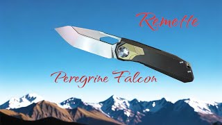 Combination of Beauty and Function, The Remette Peregrine Falcon