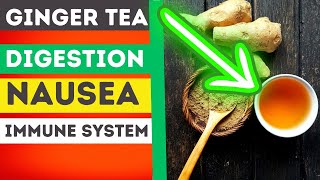 Top 6 POWERFUL Health Benefits Of Ginger Tea Daily