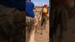 CAMEL RIDE IN MARRAKECH | MARRAKECH CAMEL SAFARI | A MUST IN MARRAKECH