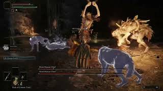 Demi-Human Chief Boss Fight (Elden Ring) #eldenring #eldenringgameplay