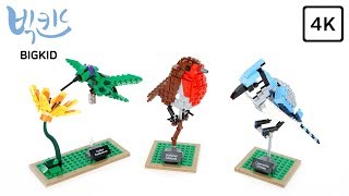 LEGO Ideas 21301 Birds - Lego Speed Build 4K