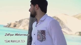 Zülfiqar Meherremov-Yeni (Yığma Mahnı 2024)