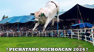 !! LLEGARON CINCO GANADERÍAS AL JARIPEO - PICHATARO MICHOACAN ¡¡ 07 DE AGOSTO 2024