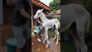 Rescue weak baby horse 🐎 | Help Animal Rescue Team | #rescue #babyhorse #baby #horse #shorts #viral