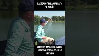 КАК НАУЧИТЬСЯ ТОЧНО ПРИКАРМЛИВАТЬ НА МАТЧ?