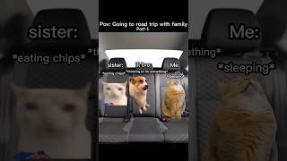 4 hour Road trip with family #relatable #catmemes #funny #shortfeed #familymeme #whatssofunny