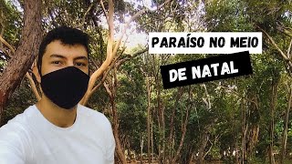 Parque das Dunas Natal RN Paraiso Verde no Meio de Natal RN