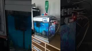 Projet Aquarium - Vidéo mise en service - 01