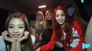 [ALL SUB] BLACKPINK FIRST VLIVE 2016.11.10