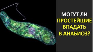 40. Могут ли простейшие впадать в анабиоз?