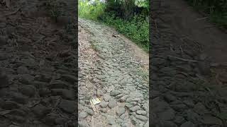 Kondisi Jalan di Kabupaten Nias