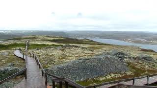 Labrador, Canada in the Summer 🌞⛱️