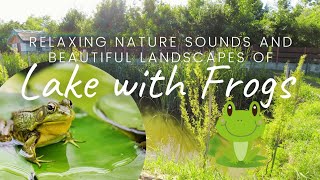 Relaxing Nature Sounds and Beautiful Landscapes of Lake with Frogs