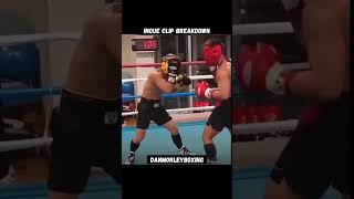 Naoya Inoue Sparring Explained