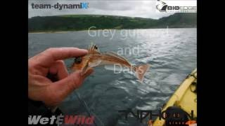 Greygurnard and dabs underwater