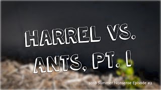 Harrel vs. Ants, pt. 1