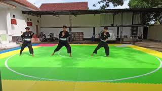 PENCAK SILAT SENI BEREGU PUTRA UNIVERSITAS NEGERI MALANG