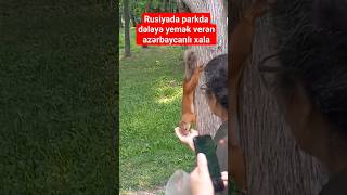 Rusiyada dələyə yemək verən azərbaycanlı qadın