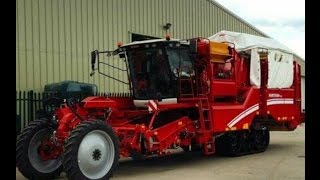 Potato Harvest 2016