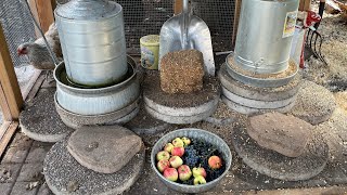 Barnyard Tour ~ Projects, Updates, Chicken Baths And More ~ With Twin Cities Adventures