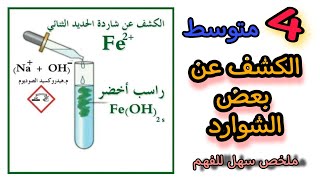 الكشف عن بعض الشوارد | 4 متوسط