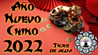 Año nuevo chino 2022🏮🐯 Tigre de agua 🐯🏮Predicciones en el amor, dinero 💰 números de la suerte ☘️