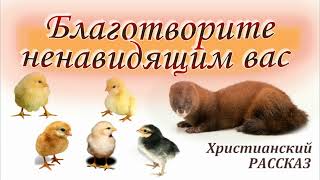 📗 "Благотворите ненавидящим вас" ~ РАССКАЗ Христианский ~ 🟢 АУДИОРАССКАЗ