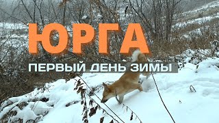 Юрга, первый день зимы  mp4