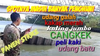 TERBARU MANCING DI SUNGAI SERAYU.....sekali mancing dapat STRIKE beruntun....