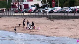 Shark on the Beach??????