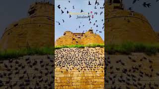 Jaisalmer fort ❤️ #fort #jaisapmer#diwali