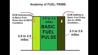 Testing Toyota Lean Condition Codes P0171 P0172