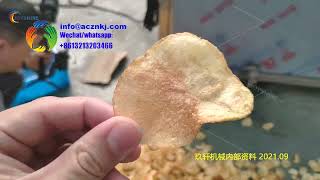 potato chips batch fryer | industrial  potato chips frying machine | potato chips machine supplier