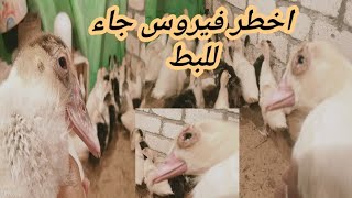 الناس كلها لازم تعرف انا السبب مش حد تاني وما اكونش ظالم واقول العين ص