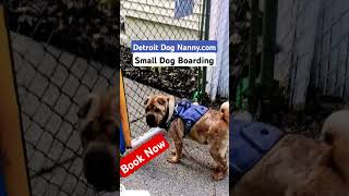 Dogs Boarding & Daycare. #dogs #detroit #pets