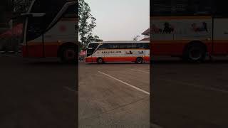 BUS HARAPAN JAYA #harapanjaya #shorts