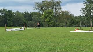 riding Dolly at New Barn #horse #dressage #equestrianriding #equestrian #horsebackriding #jumping