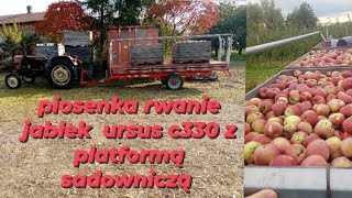 piosenka rwanie jabłek  ursus c330 z platformą sadowniczą