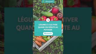 5 légumes à cultiver quand on débute au potager