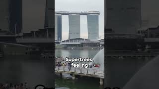 Merlion Park Magic:  A Minute in Singapore